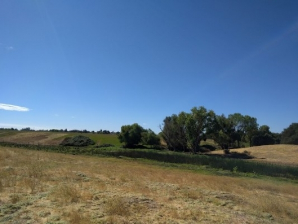 Listing Image #1 - Land for sale at SEC Lower Sacramento Road and Liberty Road, Galt CA 95632