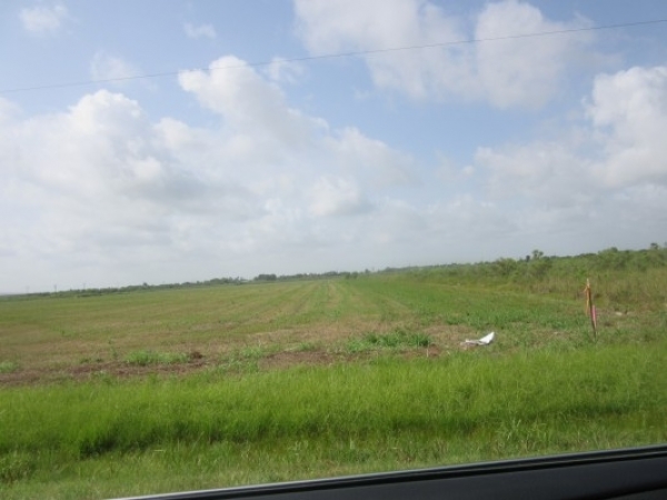 Listing Image #1 - Industrial for sale at S. Frontage Rd. Lot 1, Lacassine LA 70650 Listing Image #1 - Industrial for sale at S. Frontage Rd. Lot 1, Lacassine LA 70650