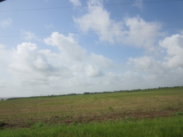 Listing Image #1 - Land for sale at S. Frontage Rd. Lot 5, Lacassine LA 70650