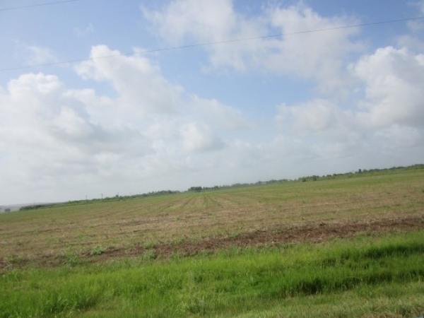 Listing Image #1 - Land for sale at S. Frontage Rd. Lot 6, Lacassine LA 70650