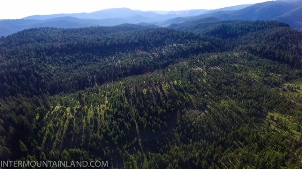 Listing Image #1 - Forest for sale at 53965 Hwy 203, Union OR 97883
