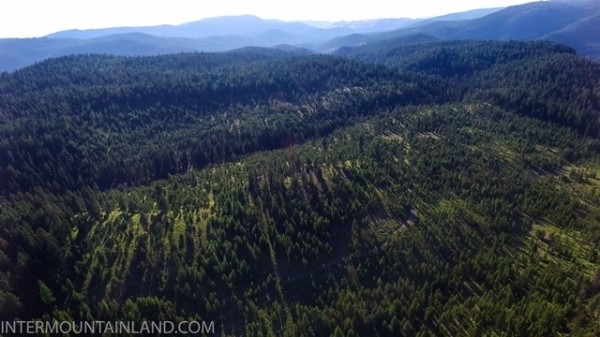 Listing Image #1 - Forest for sale at 53965 Hwy 203, Union OR 97883 Listing Image #1 - Forest for sale at 53965 Hwy 203, Union OR 97883