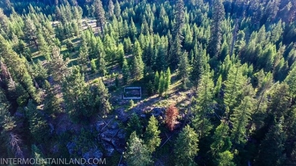 Listing Image #2 - Forest for sale at 53965 Hwy 203, Union OR 97883