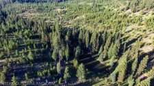 Listing Image #3 - Forest for sale at 53965 Hwy 203, Union OR 97883 Listing Image #3 - Forest for sale at 53965 Hwy 203, Union OR 97883
