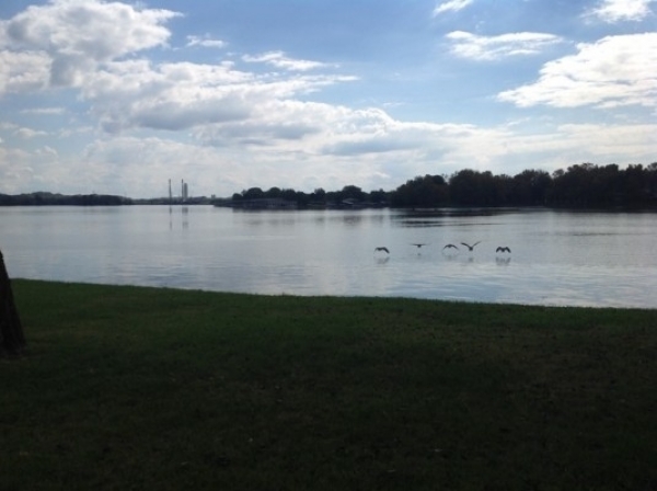 Listing Image #1 - Business for sale at Hwy 109, Lebanon TN 37087