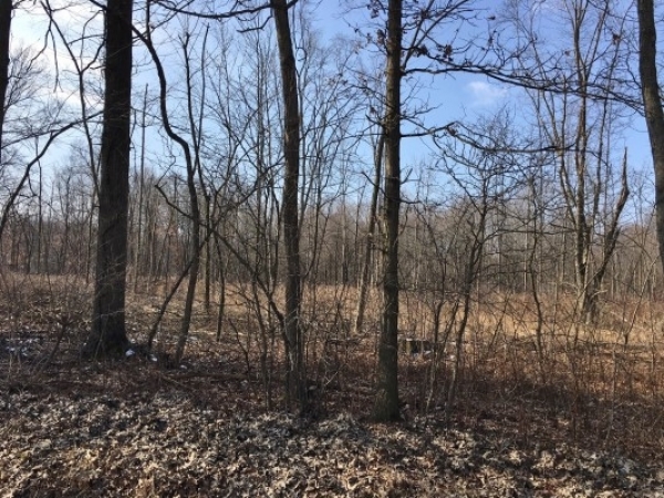Listing Image #1 - Land for sale at Oyster Road, Alliance OH 44601