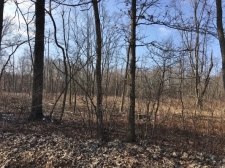 Listing Image #1 - Land for sale at Oyster Road, Alliance OH 44601