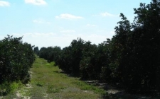 Listing Image #1 - Land for sale at 1463 US 27 North, Venus FL 33960