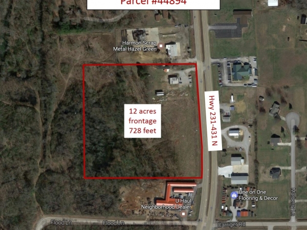 Listing Image #1 - Land for sale at 15219 Highway 231-431, Hazel Green AL 35750