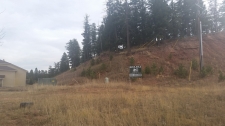 Listing Image #1 - Land for sale at TBD Hwy 24, Woodland Park CO 80863