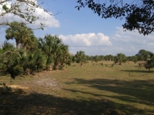 Listing Image #1 - Land for sale at 1741 N. Beardall Ave.-SOLD, Sanford FL 32771