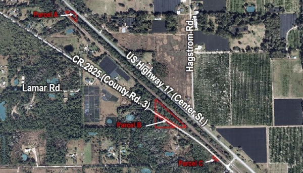 Listing Image #1 - Land for sale at S. County Rd.3, Pierson FL 32180