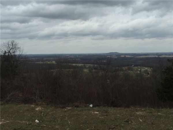 Listing Image #1 - Land for sale at 21354 Fire Tower Road, Elkins AR 72727