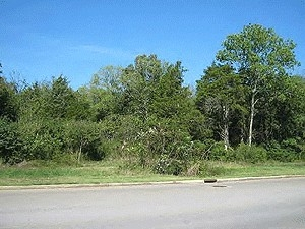 Listing Image #1 - Land for sale at APN 092-03902 Agripark Dr., Murfreesboro TN 37132