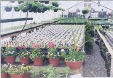 Listing Image #1 - Multi-Use for sale at 83 Agee Lane, Cumberland VA 23040