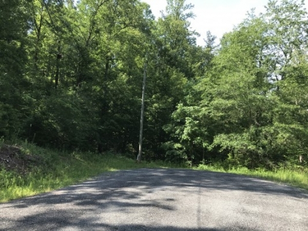 Listing Image #1 - Land for sale at 1734 Meadow Lane, Talking Rock GA 30175 Listing Image #1 - Land for sale at 1734 Meadow Lane, Talking Rock GA 30175