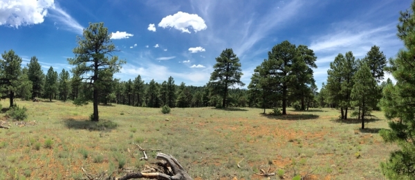 Listing Image #1 - Land for sale at 1002 N. 4th St., Flagstaff AZ 86004
