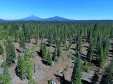 Listing Image #1 - Land for sale at Dead Indian Memorial, Ashland OR 97520 Listing Image #1 - Land for sale at Dead Indian Memorial, Ashland OR 97520