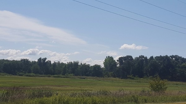 Listing Image #1 - Land for sale at 1565 161st Ave NW, Andover MN 55304 Listing Image #1 - Land for sale at 1565 161st Ave NW, Andover MN 55304