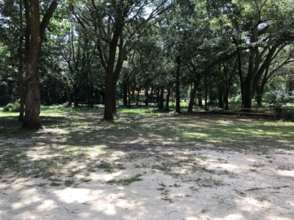 Listing Image #1 - Others for sale at 8025 N. Palafox Street, Pensacola FL 32534 Listing Image #1 - Others for sale at 8025 N. Palafox Street, Pensacola FL 32534