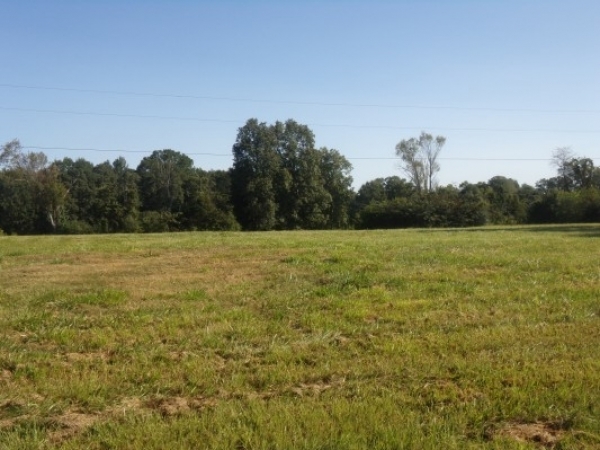 Listing Image #1 - Land for sale at 0 Jefferson Street, Athens AL 35611 Listing Image #1 - Land for sale at 0 Jefferson Street, Athens AL 35611