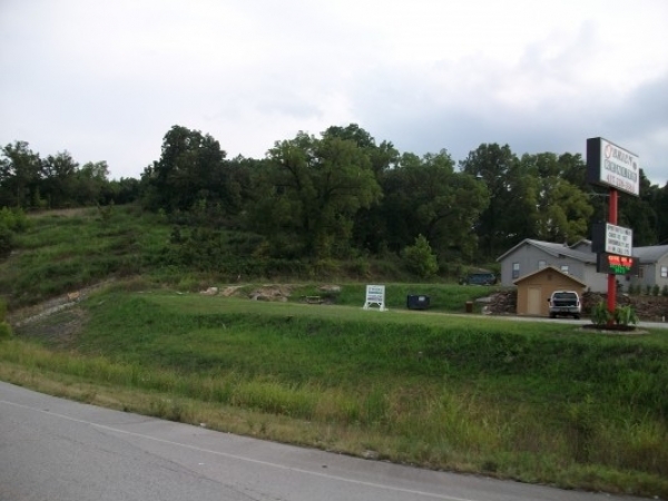 Listing Image #1 - Land for sale at 26 PEACOCK LANE, JANE MO 64856