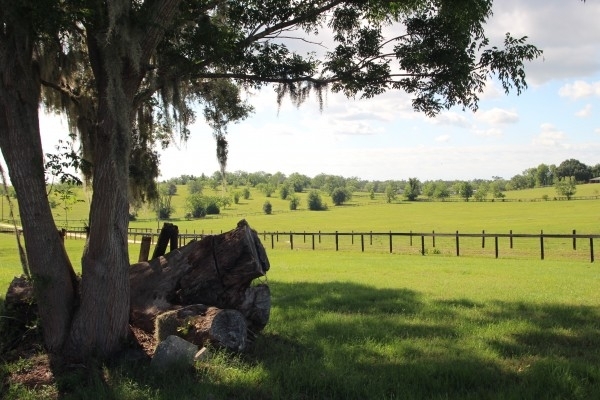Listing Image #1 - Farm for sale at 5460 S Lecanto Hwy, Lecanto FL 34461