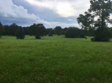 Listing Image #1 - Land for sale at 1350a ne 6th blvd (State Hwy 121), Williston FL 32696