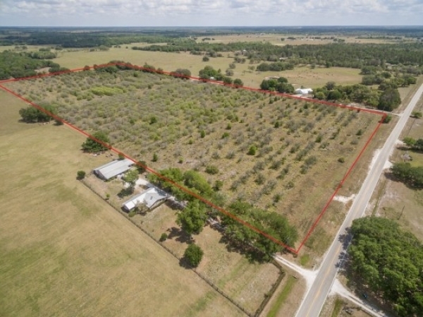 Listing Image #1 - Land for sale at 33453 Singletary Rd., Myakka City FL 34251 Listing Image #1 - Land for sale at 33453 Singletary Rd., Myakka City FL 34251