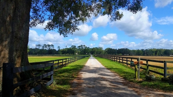Listing Image #1 - Land for sale at 3570 NW 63RD ST OCALA, Ocala FL 34475 Listing Image #1 - Land for sale at 3570 NW 63RD ST OCALA, Ocala FL 34475