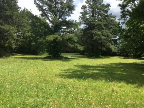 Listing Image #1 - Land for sale at 204 Pearces Rd, Zebulon NC 27597