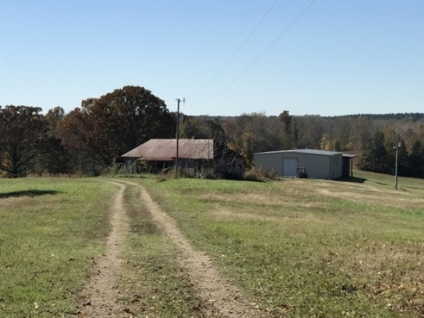 Listing Image #1 - Land for sale at Highway 309 South Of Watson, Byhalia MS 38611