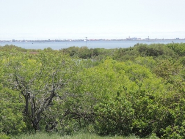 Listing Image #1 - Land for sale at 2000 Laguna Shores Road, Corpus Christi TX 78418