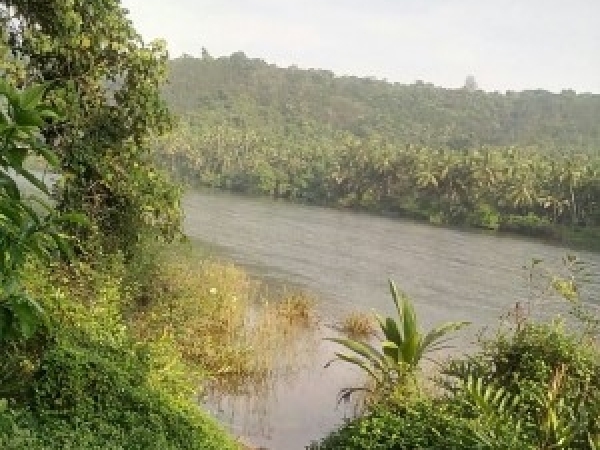 Listing Image #1 - Land for sale at Cheemeni,Kasargod, Kasargod AL 35006 Listing Image #1 - Land for sale at Cheemeni,Kasargod, Kasargod AL 35006