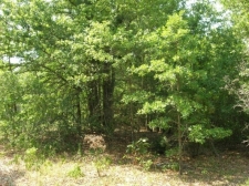 Listing Image #1 - Land for sale at 0 William Few Pky, Grovetown GA 30813
