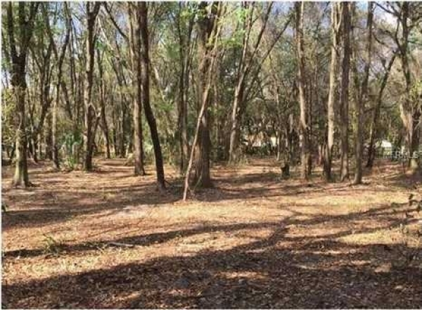 Listing Image #1 - Land for sale at Livingston Ave, Lutz FL 33559 Listing Image #1 - Land for sale at Livingston Ave, Lutz FL 33559