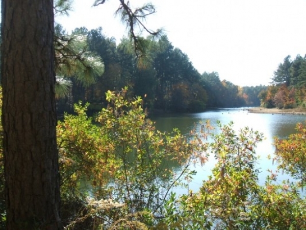 Listing Image #1 - Land for sale at Two Notch Road, Gilbert SC 29054