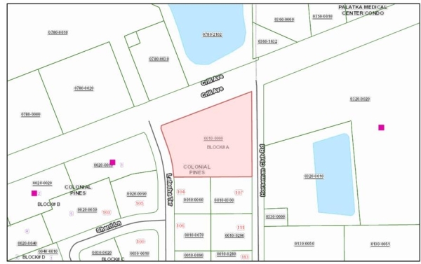 Listing Image #1 - Land for sale at 7069 Crill Ave, Palatka FL 32177