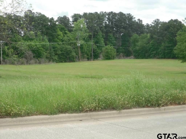 Listing Image #3 - Industrial for sale at TBD Hwy 271, Gilmer TX 75645