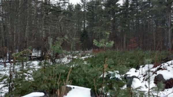 Listing Image #1 - Land for sale at 20-24 Main St, Pelham NH 03076