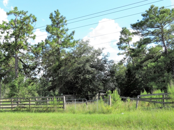 Listing Image #1 - Land for sale at 5471 Country Road 218, Middleburg FL 32068 Listing Image #1 - Land for sale at 5471 Country Road 218, Middleburg FL 32068