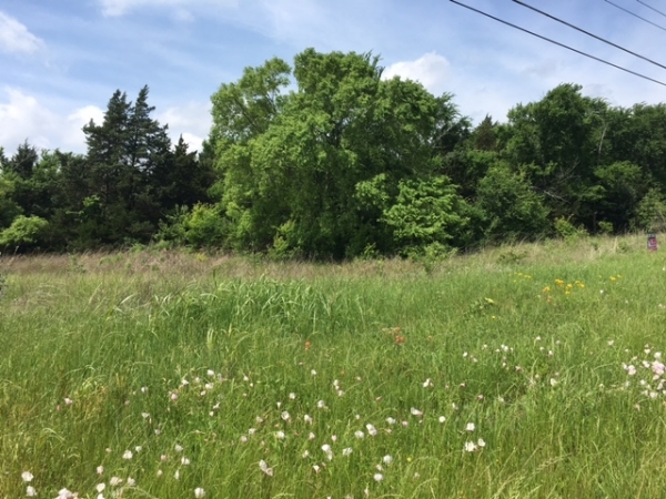 Listing Image #1 - Business for sale at TBD Hwy 84, Teague TX 75860