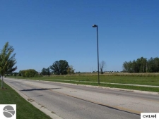 Listing Image #3 - Others for sale at TBD Heather Lane, Alma MI 48801