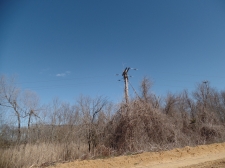 Listing Image #1 - Land for sale at 00 Richwood Rd, Sewell NJ 08080 Listing Image #1 - Land for sale at 00 Richwood Rd, Sewell NJ 08080