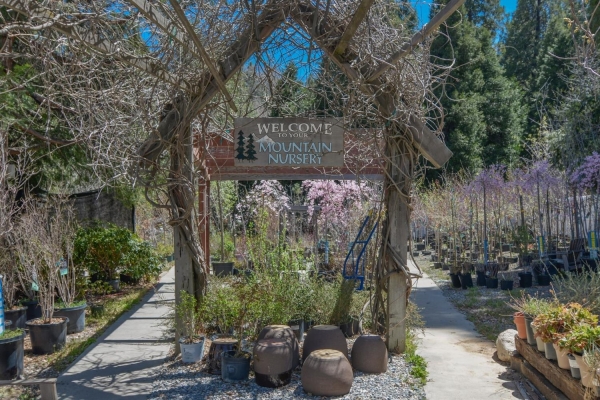 Listing Image #2 - Industrial for sale at 179 State Highway 173, Lake Arrowhead CA 92352
