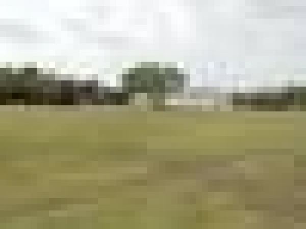 Listing Image #1 - Business for sale at 2744 N Main Street, Mansfield TX 76063